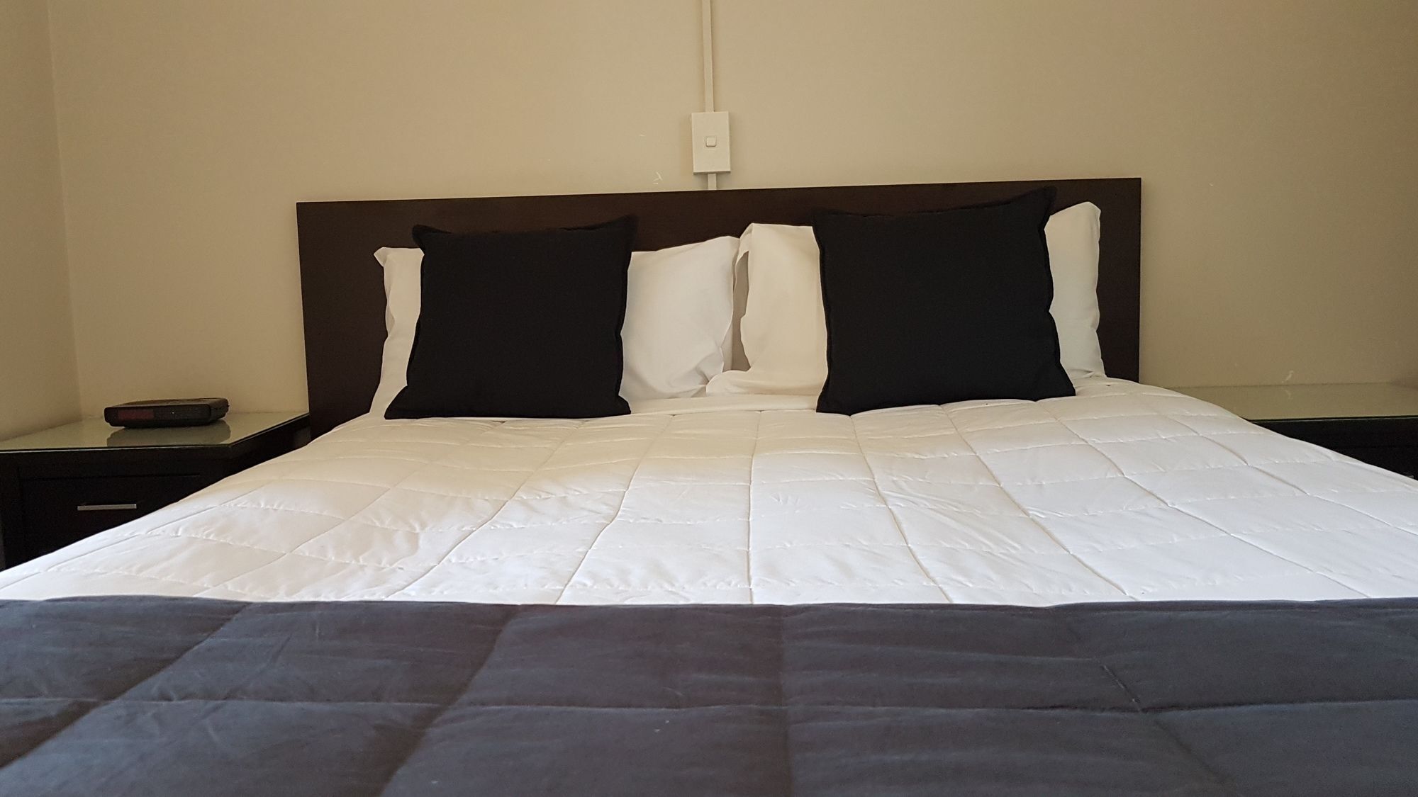 88 Wallace Court Motel Ουέλλινγκτον Εξωτερικό φωτογραφία