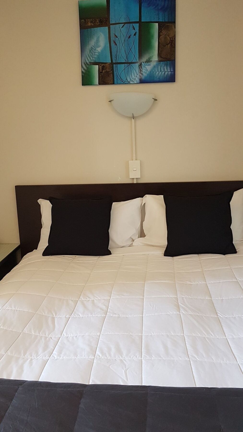 88 Wallace Court Motel Ουέλλινγκτον Εξωτερικό φωτογραφία